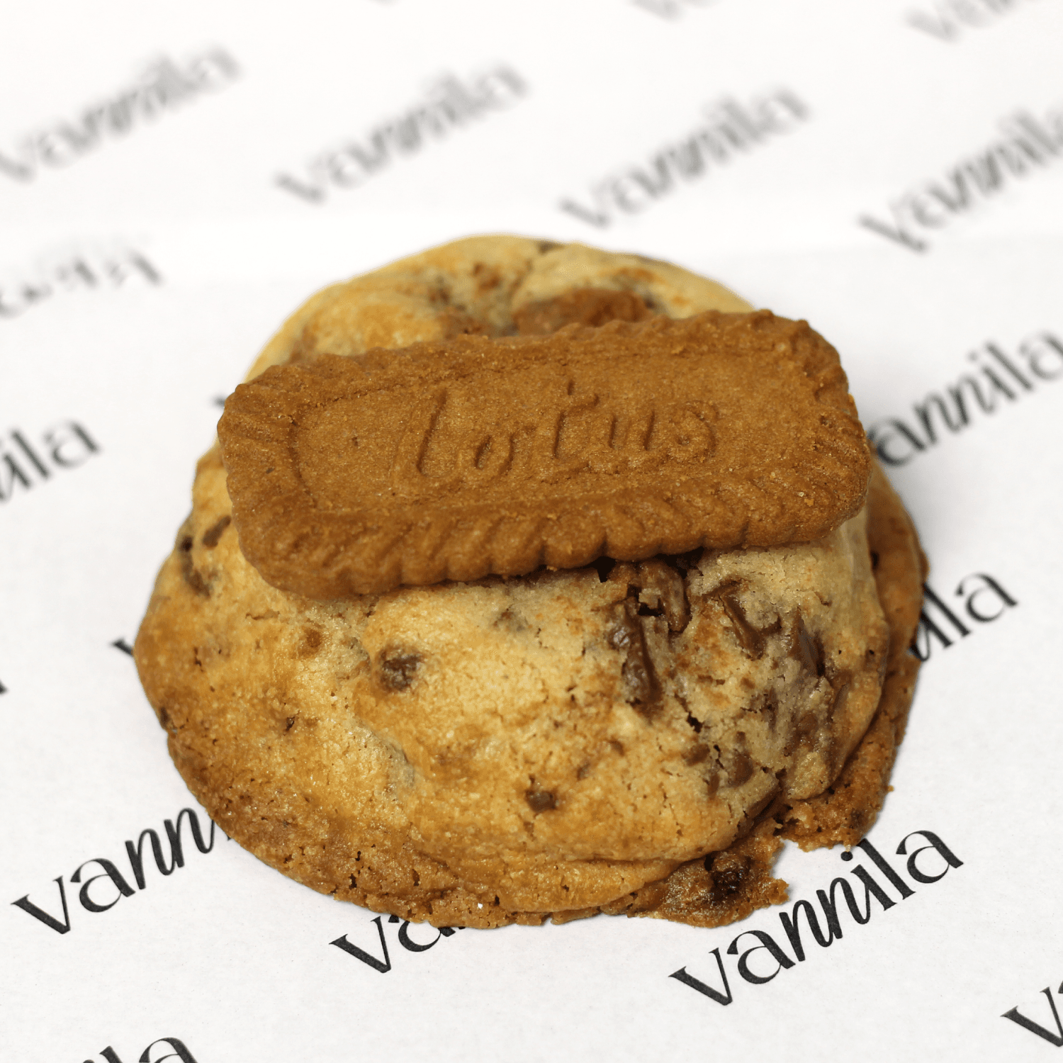 Cookie de Lotus con chocolate con leche Cookie de Lotus con chocolate con leche